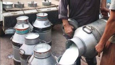 Photo of دودھ کی قیمت میں 10روپے فی لیٹر اضافہ