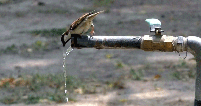 گرمی کی شدت میں دن بدن اضافہ، پارہ 53 ڈگری کو چھوگیا