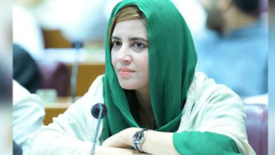 Photo of زرتاج گل قومی اسمبلی میں سنی اتحاد کونسل کی پارلیمانی لیڈر نامزد