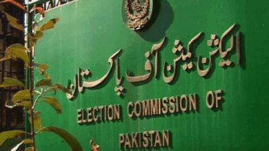 Photo of الیکشن کمیشن نے ملک بھر میں ووٹرز کی تفصیلات جاری کردیں
