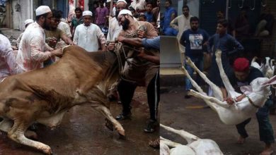 Photo of عید قرباں پر قصابوں نے جانور ذبح کرنے کی ریٹ لسٹ جاری کردی