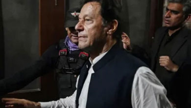 Photo of محسن نقوی سب سے بڑا سفارشی ہے سب سے پہلے سرجری اس کی ہونی چاہیے: عمران خان