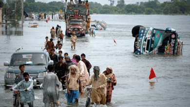 Photo of سندھ میں موسلادھار بارشیں، کئی علاقے زیر آب، سمندری طوفان کا بھی خدشہ