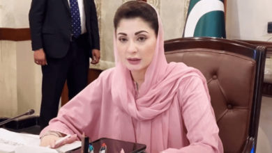 Photo of گلے میں انفیکشن کے باعث وزیراعلیٰ پنجاب مریم نواز اسپتال داخل