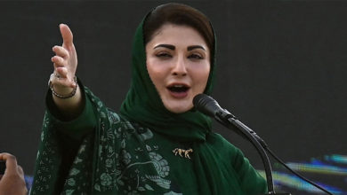 Photo of فسادی اور شرپسند سیاسی تاریخ کا خونی باب لکھ رہے ہیں: وزیراعلیٰ پنجاب