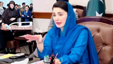 Photo of ملک ترقی کی راہ پر گامزن ہے اور پی ٹی آئی کا مقصد ترقی کو روکنا ہے: مریم نواز